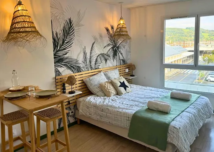 Apartament Oasis - Wifi, Clim, Vue, Equipe Lourdes