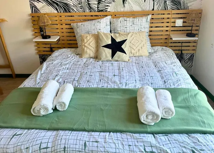 Apartament Oasis - Wifi, Clim, Vue, Equipe Lourdes