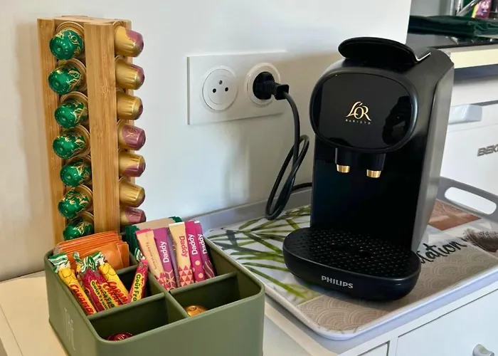 Oasis - Wifi, Clim, Vue, Equipe ルルド