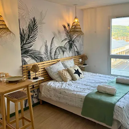 Apartment Oasis - Wifi, Clim, Vue, Equipe Lourdes